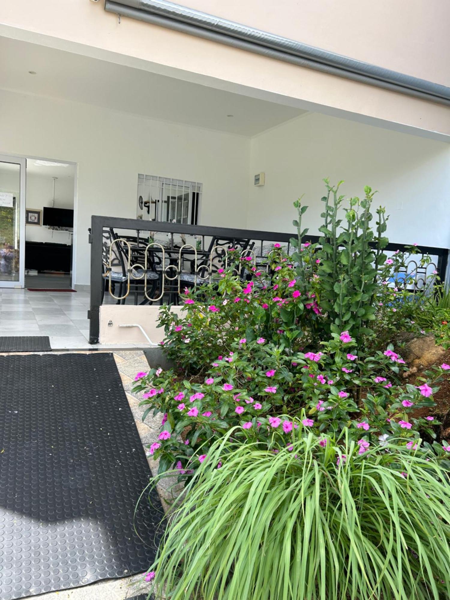 The Olive Tree Appartement Misere Buitenkant foto